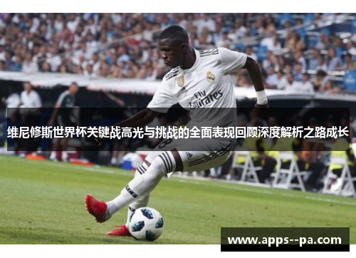维尼修斯世界杯关键战高光与挑战的全面表现回顾深度解析之路成长