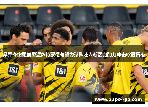 桑乔冬窗租借重返多特蒙德有望为球队注入新活力助力冲击欧冠资格