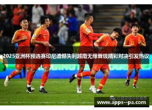 2025亚洲杯预选赛印尼遗憾失利越南无缘晋级精彩对决引发热议